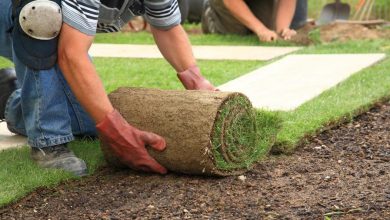 Photo of How to Source and Water Sod Pallets for Your Landscape Project?