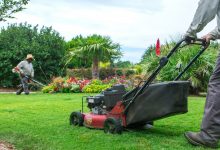Photo of Types of Landscape Maintenance Services