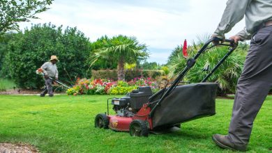 Photo of Types of Landscape Maintenance Services